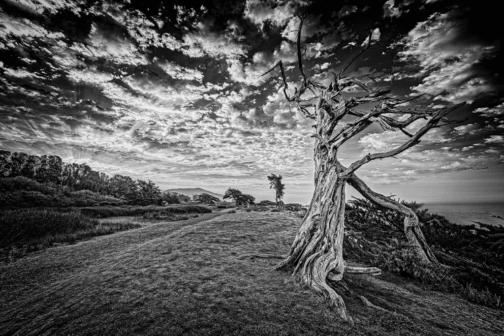 Carpinteria Beach Bluffs: The Ancient Observer